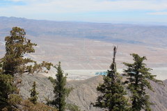 Palm Springs Aerial Tramway, Вид на пустыню с гор